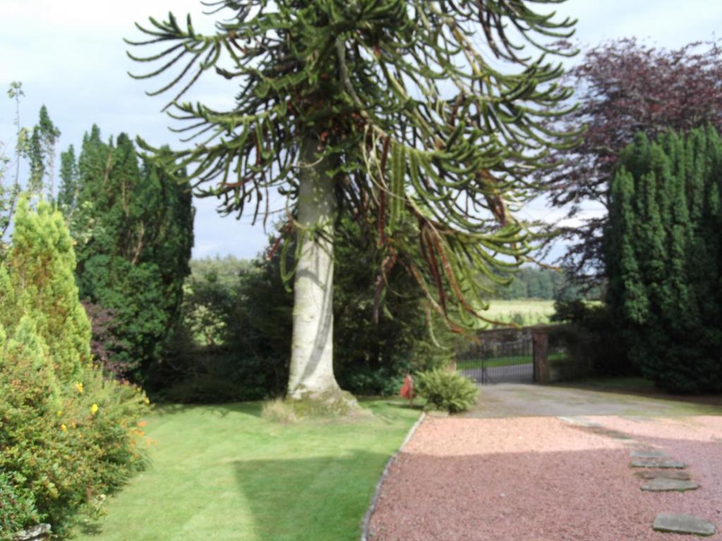 Kirkpatrick House Bed and Breakfast Gretna Green Exterior foto